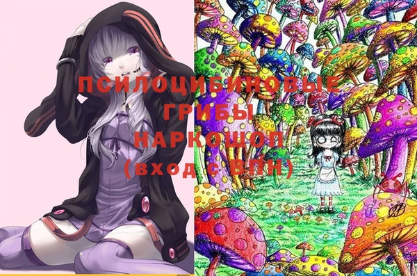 прущая мука Лабытнанги