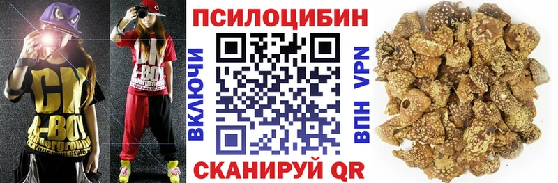 Купить  Алексеевка  Псилоцибиновые грибы прущие грибы 
